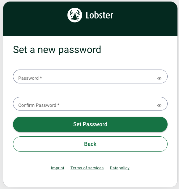 Password reset form with fields for new password and confirmation, featuring action buttons.